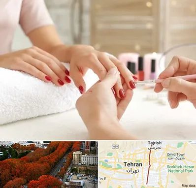 آموزشگاه کاشت ناخن در ولیعصر 