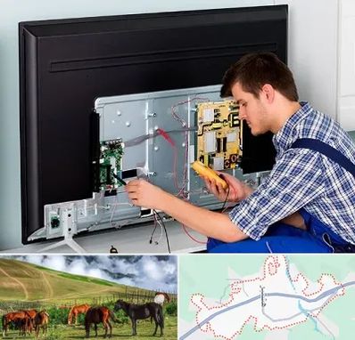 تعمیر تلویزیون در تالش