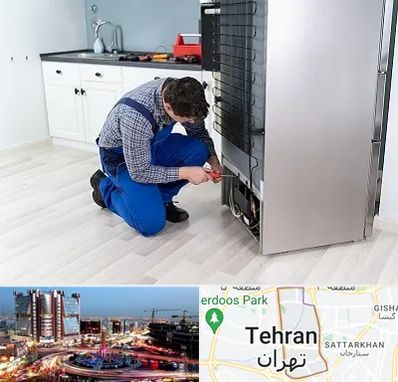 تعمیر یخچال سامسونگ در صادقیه 