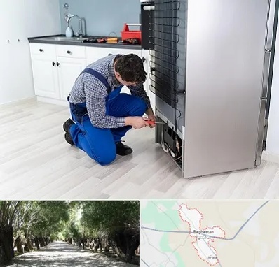 تعمیر یخچال سامسونگ در باغستان
