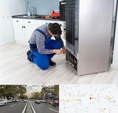 تعمیر یخچال سامسونگ در دولت