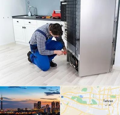 تعمیر یخچال سامسونگ در غرب تهران 
