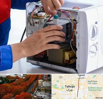 تعمیر مایکروفر در ولیعصر 