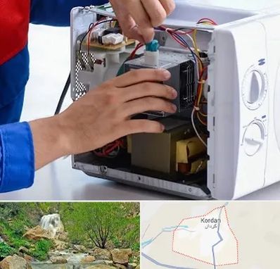 تعمیر مایکروفر در کردان