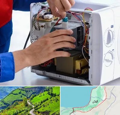 تعمیر مایکروفر در گیلان