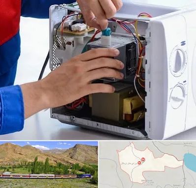 تعمیر مایکروفر در خاش