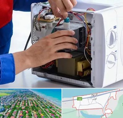 تعمیر مایکروفر در نور