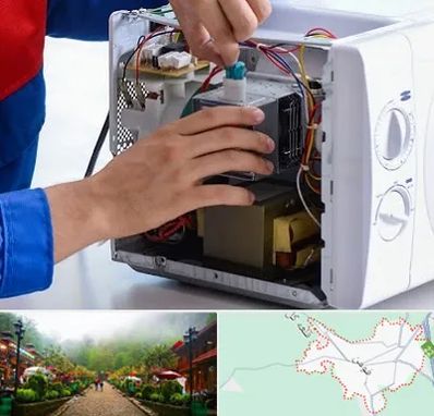 تعمیر مایکروفر در فومن