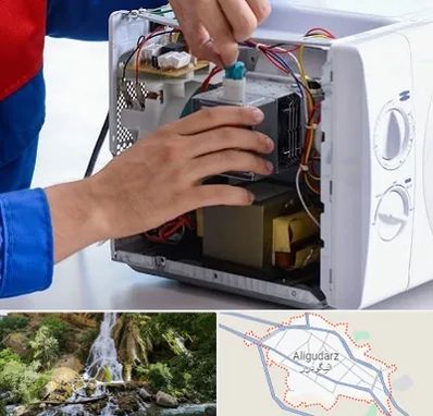 تعمیر مایکروفر در الیگودرز