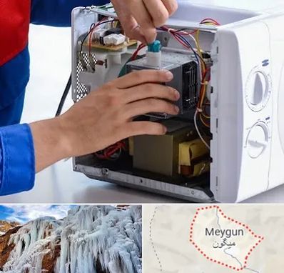 تعمیر مایکروفر در میگون