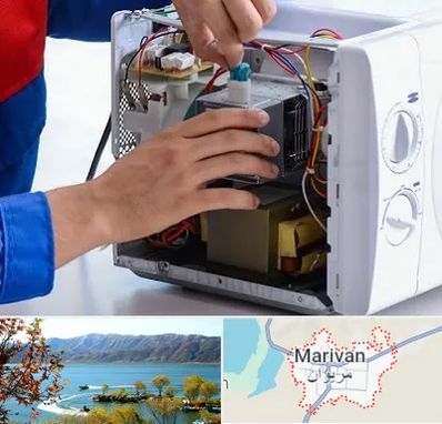 تعمیر مایکروفر در مریوان