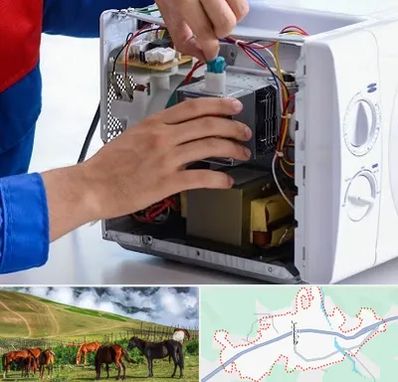 تعمیر مایکروفر در تالش