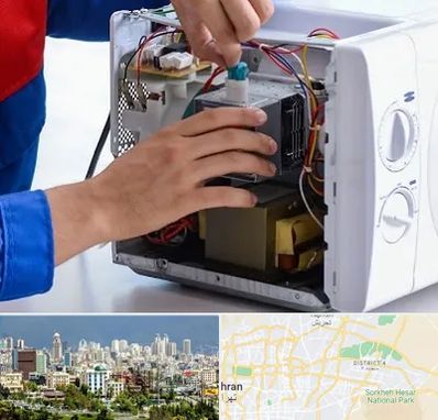 تعمیر مایکروفر در شرق تهران 