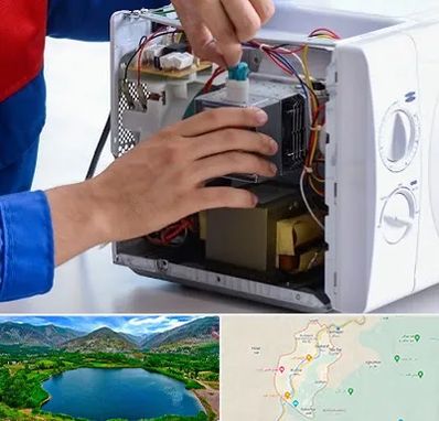 تعمیر مایکروفر در رودبار