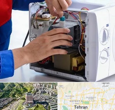 تعمیر مایکروفر در شمال تهران 