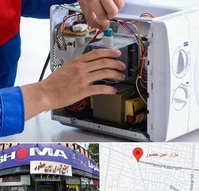 تعمیر مایکروفر در امین حضور