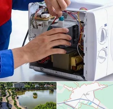 تعمیر مایکروفر در لنگرود