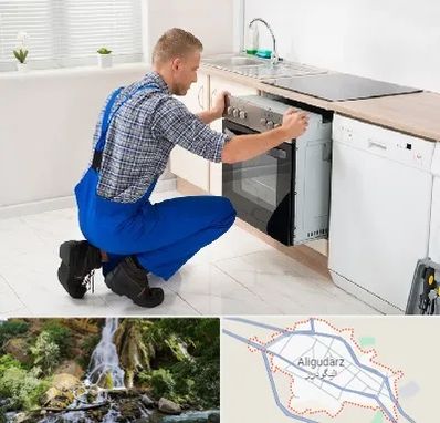 تعمیر اجاق گاز در الیگودرز