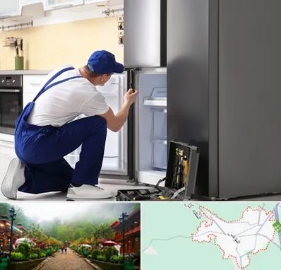 سرویس یخچال در فومن