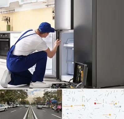 سرویس یخچال در دولت