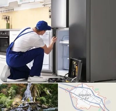 سرویس یخچال در الیگودرز