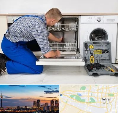 نصاب ماشین ظرفشویی در غرب تهران 