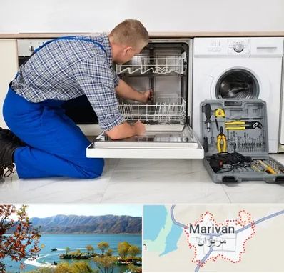 نصاب ماشین ظرفشویی در مریوان