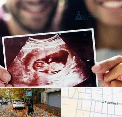 غربال گری در خیابان فلسطین