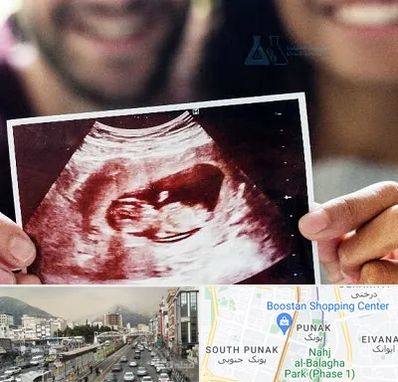 غربال گری در پونک 