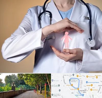 لابیاپلاستی در بلوار گیلان رشت