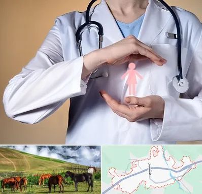 لابیاپلاستی در تالش
