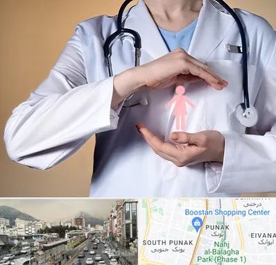 لابیاپلاستی در پونک 