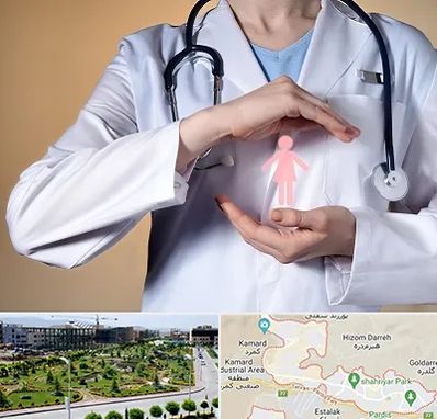 لابیاپلاستی در پردیس