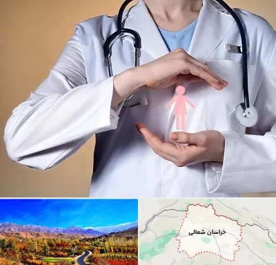 لابیاپلاستی در خراسان شمالی