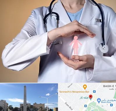 لابیاپلاستی در فلکه گاز شیراز