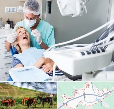 جراح دندانپزشک در تالش