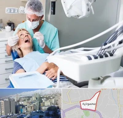 جراح دندانپزشک در محمودیه