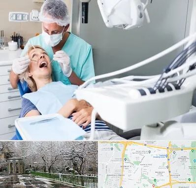جراح دندانپزشک در باغ فیض