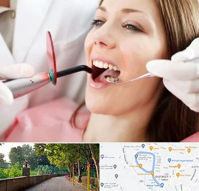 متخصص درمان ریشه دندان در فلکه گاز رشت