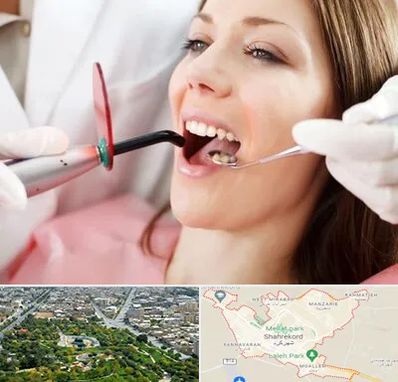 متخصص درمان ریشه دندان در شهرکرد