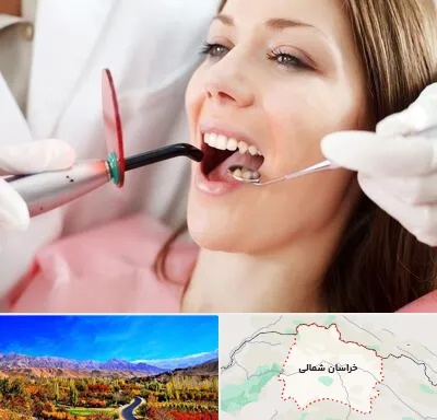 متخصص درمان ریشه دندان در خراسان شمالی
