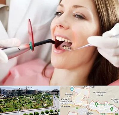متخصص درمان ریشه دندان در پردیس