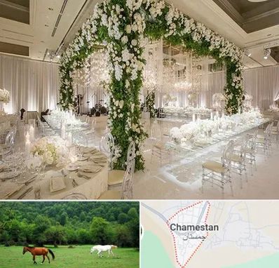 تالار در چمستان