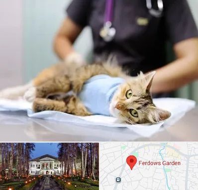 عقیم سازی گربه در باغ فردوس