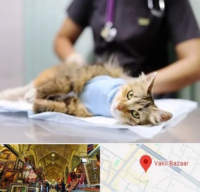 عقیم سازی گربه در بازار وکیل شیراز