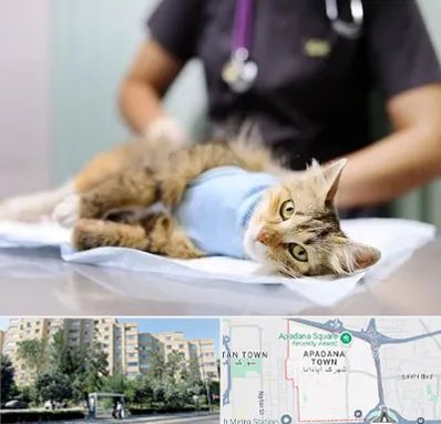 عقیم سازی گربه در آپادانا