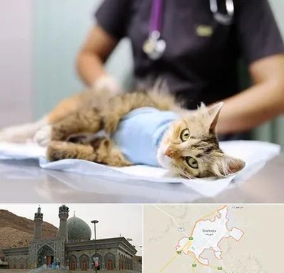 عقیم سازی گربه در شهرضا