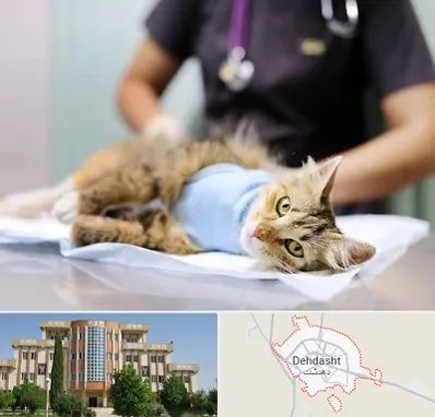 عقیم سازی گربه در دهدشت