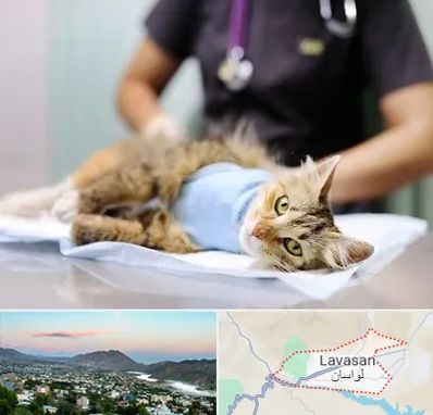 عقیم سازی گربه در لواسان