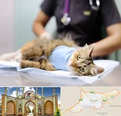 عقیم سازی گربه در سمنان